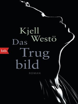 cover image of Das Trugbild